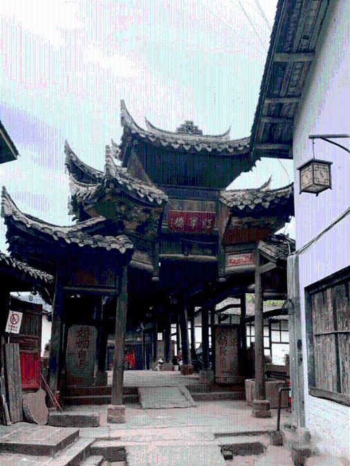 红色鹦鹉逃脱